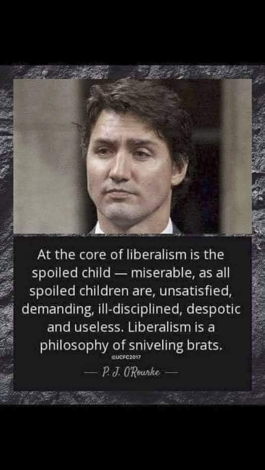DoingMyPartAreU's tweet photo. #Liberalism #Liberals #Millennials (some) #YouAreNotEntitled #Brats #Spoiled #TrophiesAreEarned @JustinTrudeau #USA #Canada #LiberalsRuinEverything https://t.co/PB4ps5yAjA