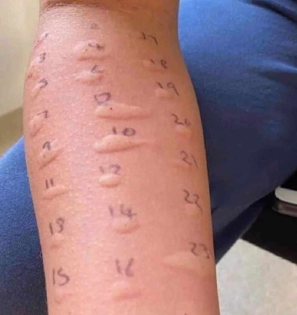 flex__83's tweet image. Cuando @MINSAPma y la @opsoms le diga al pueblo que hace falta una 23ava dosis para estar completamente inmunizados jajjajajajaja😂