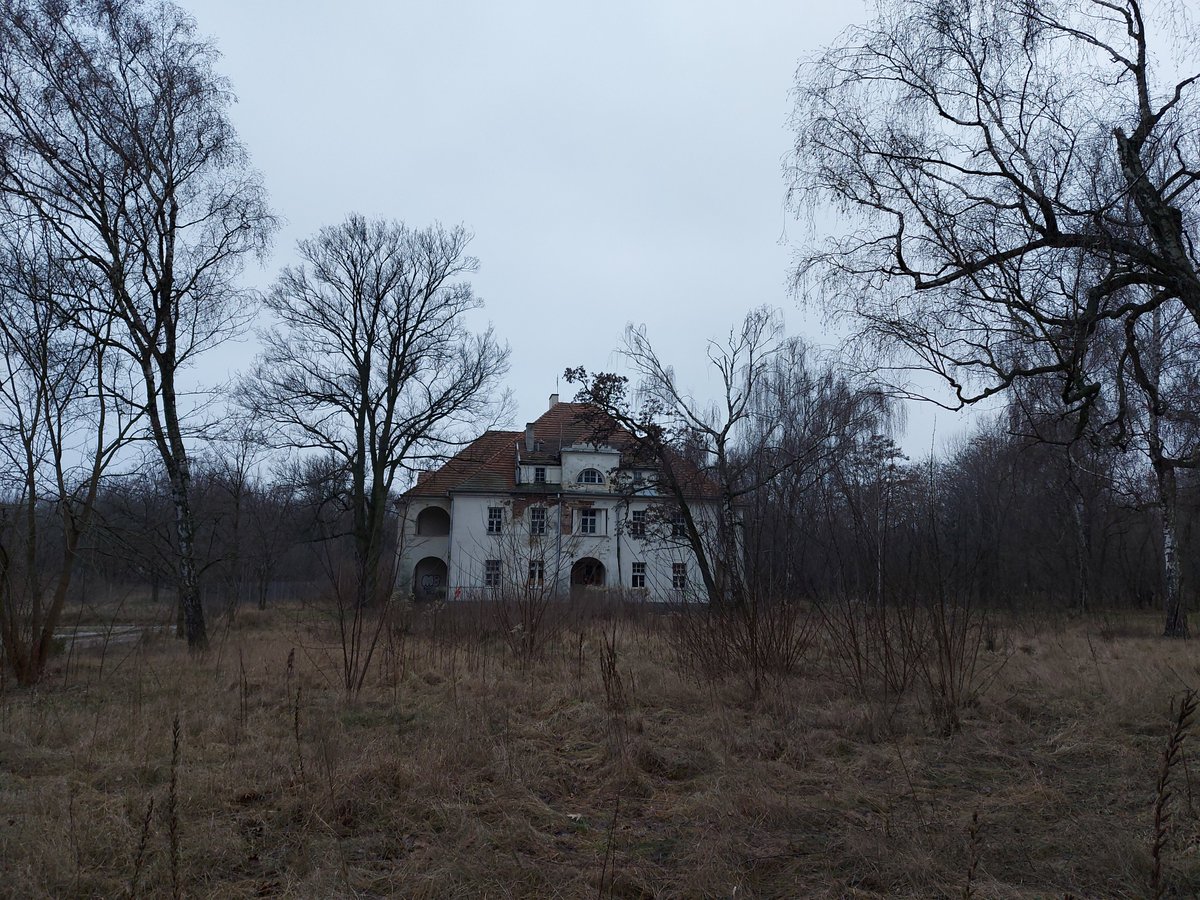 WarszawskiBlog's tweet photo. Osiedle dla oficerów🎖️ Housing estate for officers🎖️ #osiedleoficerów #wytwórniaamunicji #lata20 #lata30 #fortBema #Bemowo #Warszawa #officershousingestate #ammunitionfactory #20s #30s #fort #Warsaw https://t.co/Ry9axX3IOr https://t.co/Z96zgpveVH