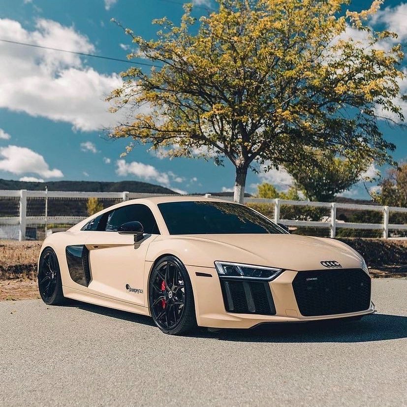 G_O_T_I's tweet photo. What’s your thoughts on this colour
#r8 #audi #performancecar #exoticar #KhanBrook https://t.co/yp0GSeWjk0