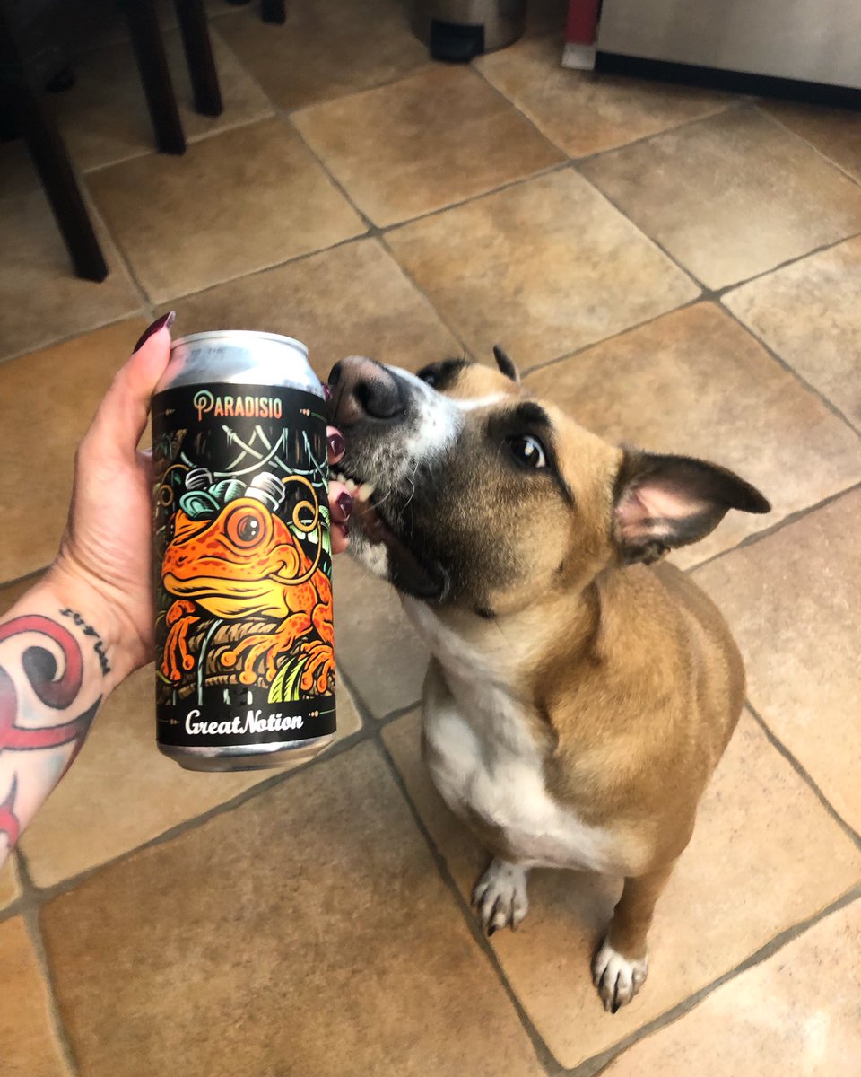 OhMyMischief's tweet photo. This is absolutely delicious! 🍻 https://t.co/M3oChA3BA0