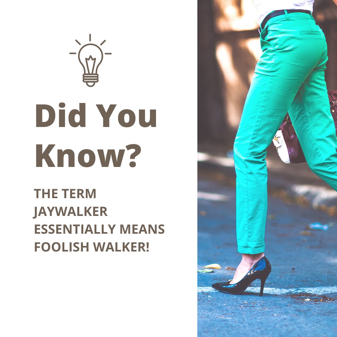 Thentix1's tweet image. Something random Saturday!

Have you ever wondered why it's called jaywalking?

Well, there is a reason for that.

Back in the day, a jay was a term describing a foolish person.

So a jaywalker essentially means a foolish walker. 😲

#saturday #somethingrandom