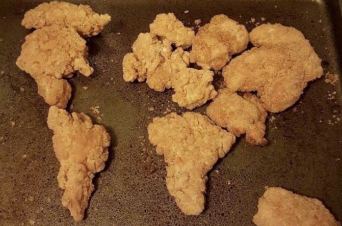RT @lincnotfound: the earth is not round nor flat. the earth is chicken tenders https://t.co/ycP73U3B2U