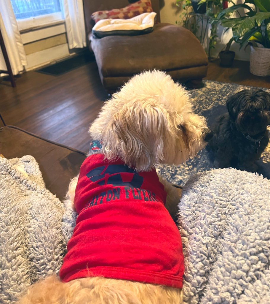 JenCadieux's tweet photo. Flyer Pup! ❤️🏀💙 #dayton6th #mrbailey https://t.co/lU8LIY4Umm