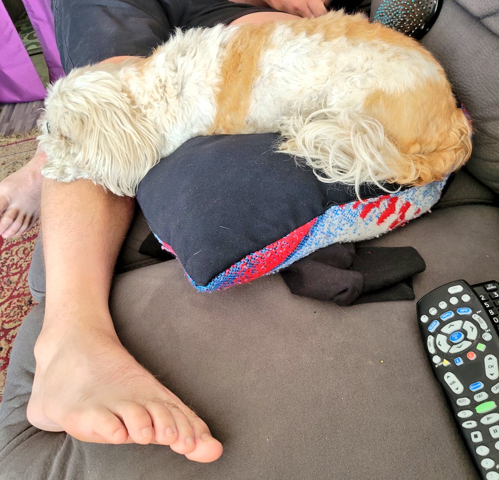 MsHoney_Bear's tweet photo. found a headrest thank u #ChipTip 💤🦵💤
#SaturdayMorning #SaturdayThoughts #SaturdayVibes https://t.co/CRzoeKPWJR