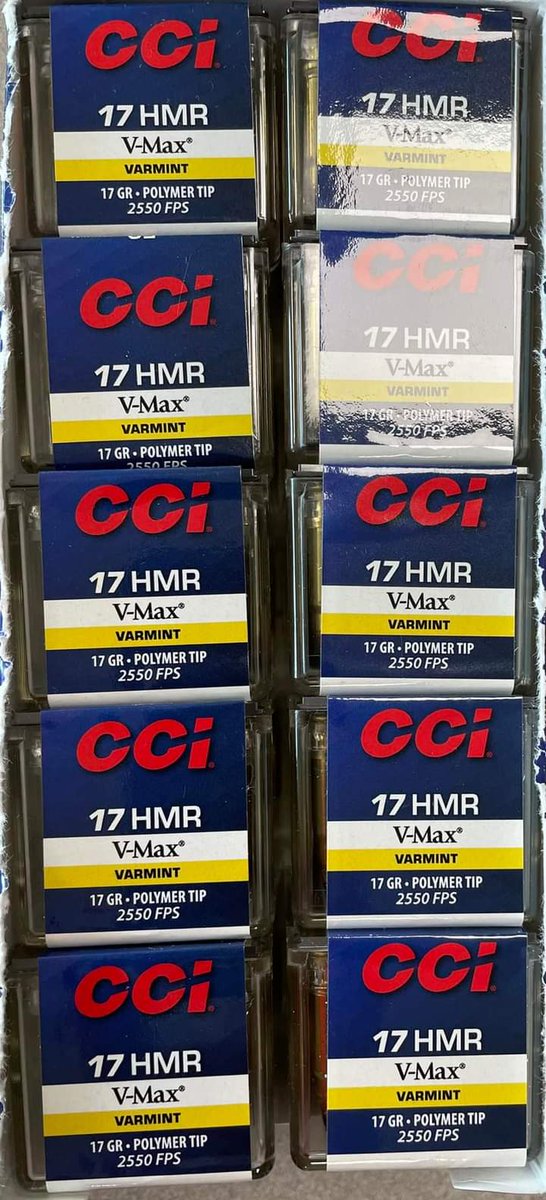 Bradley Davidson (@bigboybradley17) on Twitter photo 