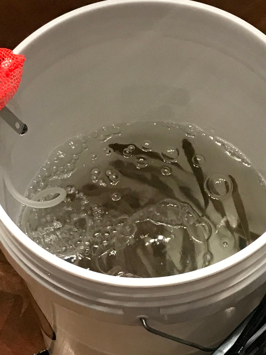 In 20 minutes these swimmers will go into the tank!  We don’t get these live shiners often so come to the tank at noon!!