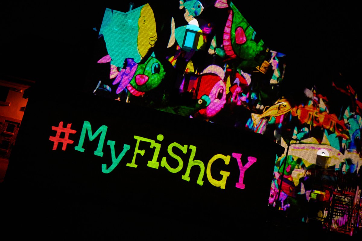 #MyFishGY tweet media