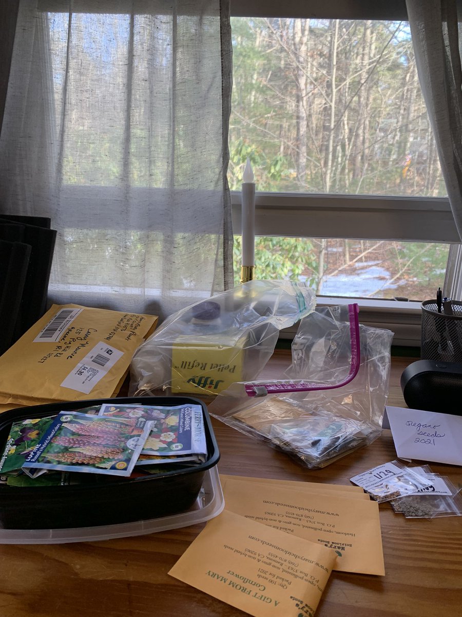EntsandS's tweet image. It’s 60 degrees outside. The snow is melting. I’m wearing shorts and it’s time to sort last year’s seeds! #springalready #itwillprobablysnowagain
