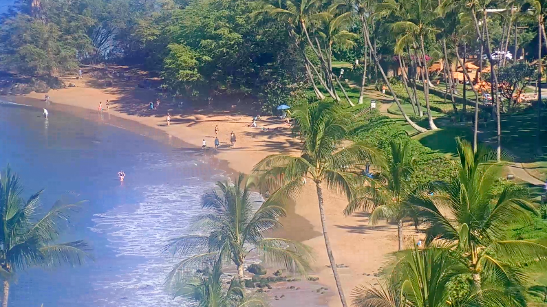 MauiAdventures's tweet photo. WAILEA / SOUTH KIHEI, MAUI
SATURDAY, FEBRUARY 12TH
WEBCAM: https://t.co/1yNGSVgBJj #kihei #waileabeach #uluabeach #wailea #maui #molokini #hawaii #southmauiwebcams #mauicounty #makena #southmaui #kamaolebeach #kooholawe https://t.co/Y0GxJcA4lL