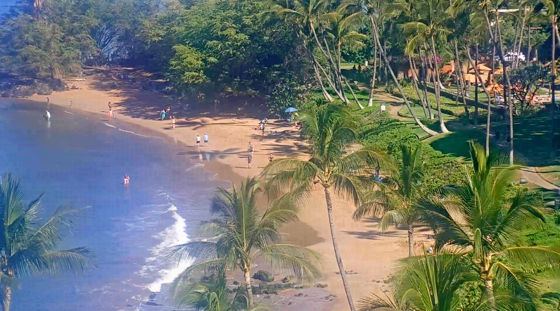 WAILEA / SOUTH KIHEI, MAUI
SATURDAY, FEBRUARY 12TH
WEBCAM: ozolio.com/explore/GQRS00… #kihei #waileabeach #uluabeach #wailea #maui #molokini #hawaii #southmauiwebcams #mauicounty #makena #southmaui #kamaolebeach #kooholawe