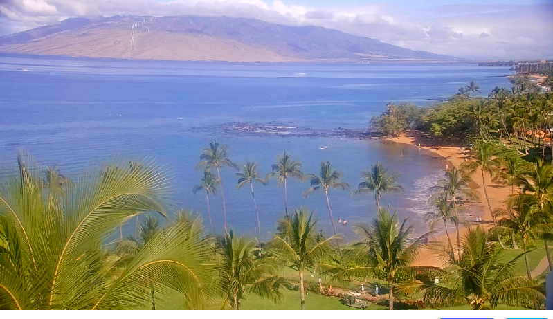 IslandCoupons's tweet photo. WAILEA / SOUTH KIHEI, MAUI
SATURDAY, FEBRUARY 12TH
WEBCAM: https://t.co/WdHOhTjUnZ #kihei #waileabeach #uluabeach #wailea #maui #molokini #hawaii #southmauiwebcams #mauicounty #makena #southmaui #kamaolebeach #kooholawe https://t.co/qMjMr3JiBG