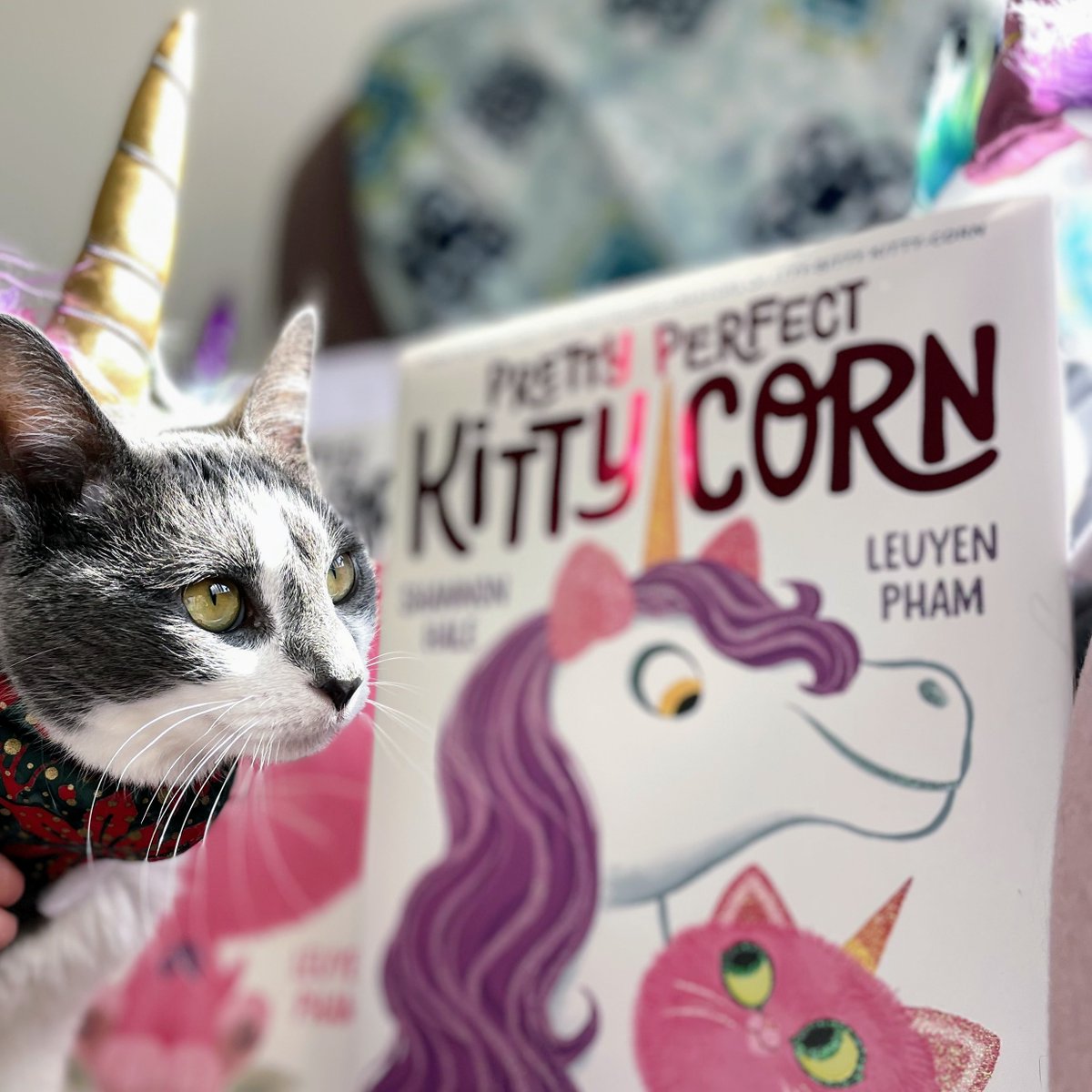 abramskids's tweet photo. This Kitty-Corn has already secured her exclusive headband. Have you? Preorder @haleshannon & LeUyen Phamโs #PrettyPerfectKittyCorn, then submit your receipt to claim yours today: https://t.co/mtHE2w62oH #IttyBittyKittyCorn https://t.co/FZH3eP76W4