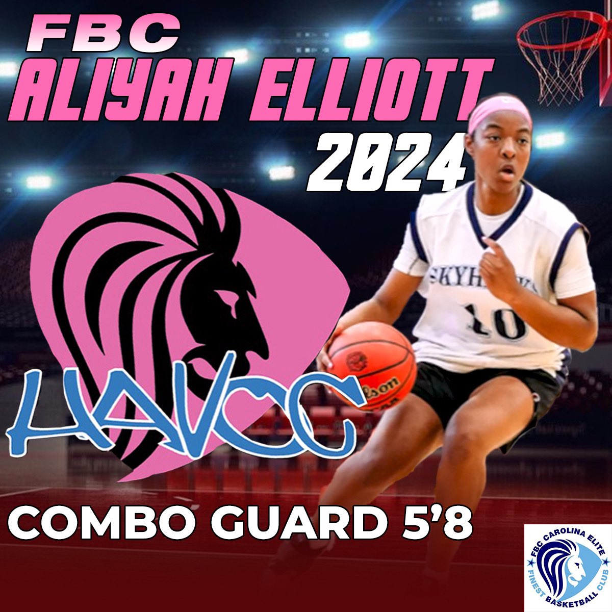 FBC HAVOC tweet media