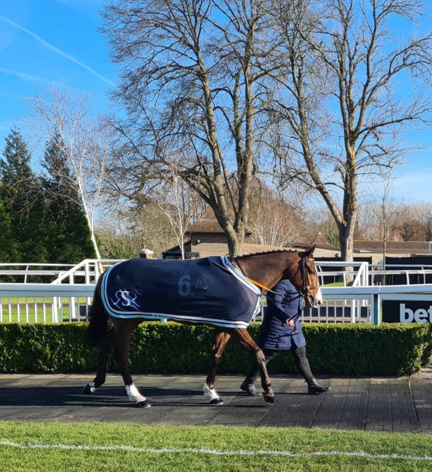 Melakaz makes it 3 in a row! @LingfieldPark under a great ride from Harry Davies. Fantastic effort from everyone at home and fantastic data analysis again from @riccibloodstock