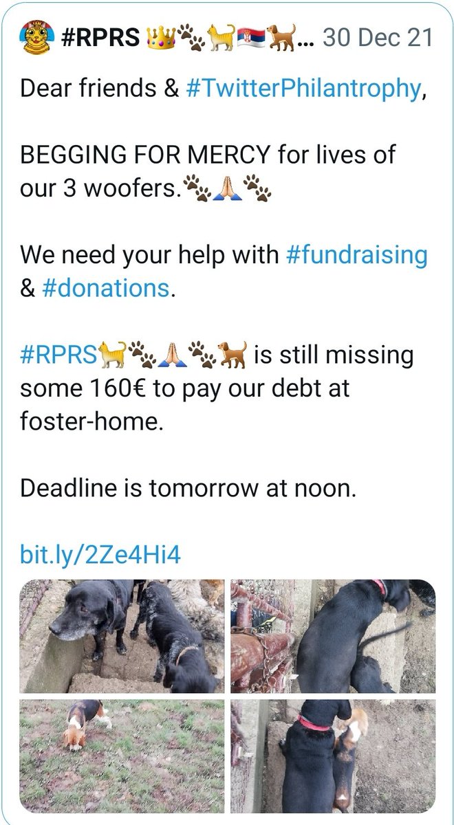 RoyalPetRescueS's tweet photo. Dear friends & #TwitterPhilantropy,
#RPRS🐈🐾🇷🇸🐾🐕 needs your URGENT HELP with #fundraising & #donations after 45 days.
We need to pay 2 x 210€ for FOSTER HOME for our 3 dogs as debt for January of 2022.
We need 50€ to buy dog-food for next 7 days.
https://t.co/3cn6Ml1OWJ https://t.co/8lBa5i0S9C