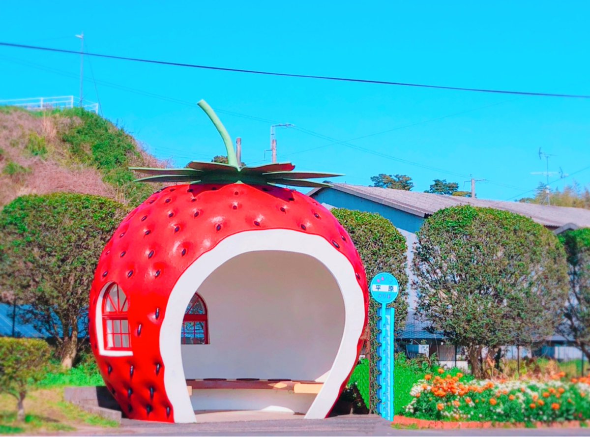 maaa311rI's tweet photo. 🚌フルーツバス停💨💨
🍓🍉🍈🍊🍅かわぃい~🤤♡
#フルーツバス停　#長崎県　#旅行好き　#国内旅行 https://t.co/g9gGHU25Qw