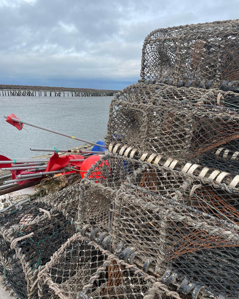 McAllisterandCo's tweet image. A fresh visit to Amble #Northumberland ☺️ it’s good to be back. A weekend of #endlessexperiences awaits.