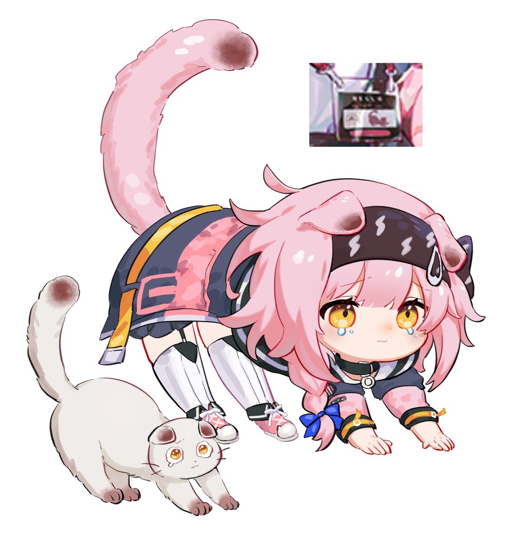 goldenglow (arknights) 1girl cat tail animal ears cat ears cat tail pink footwear  illustration images