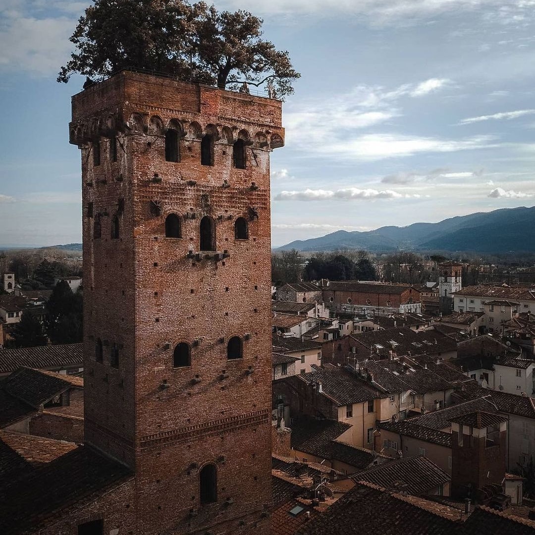 gabrymary2006's tweet photo. E vivo a 10 km da questa torre❤
#lucca #torreguinigi #Toscana https://t.co/EOGdnNaHYJ