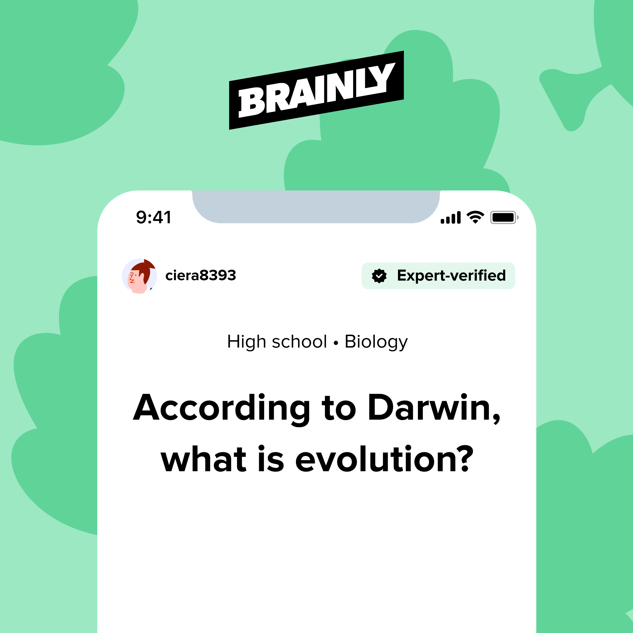 Brainly Brainly Twitter