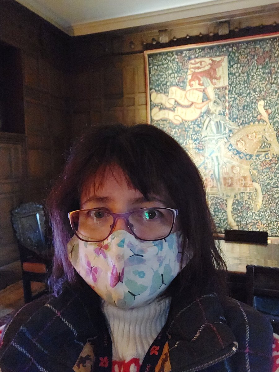 Museum_Rachel's tweet photo. Managed to get a Saturday #selfie with the tapestry at #MontacuteHouse @NTSouthWest Met loads of lovely visitors today and the long gallery got loads of wows 😍 which happens be my favourite room in the house. #museumgeek #volunteer https://t.co/aY1kDrecJx