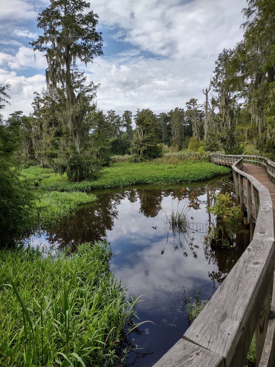 Happy weekend everyone! Where are you spending your saturday in augusta?   #FirstCityOfMusic  #xpraugusta  #comeseeaugUSta #phinizyswamp #phinizynatureark