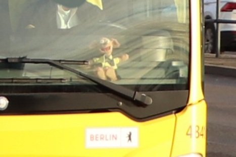 Mutterdrachen_B's tweet photo. Manni unterwegs 

#weilwirdichlieben #bvg_bus https://t.co/LeAVS2gtpN