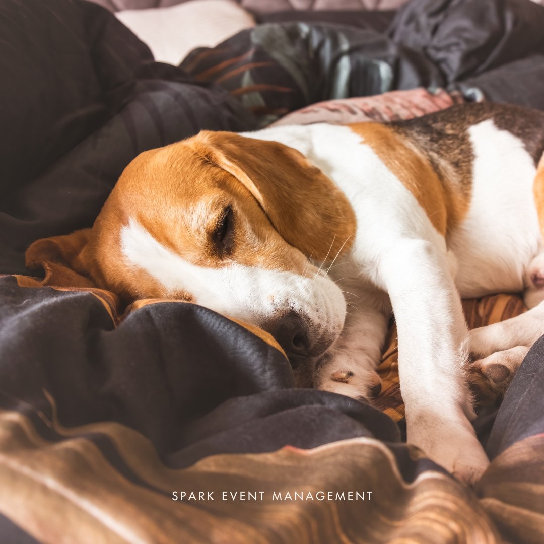 Spark Event Mgmt. tweet media