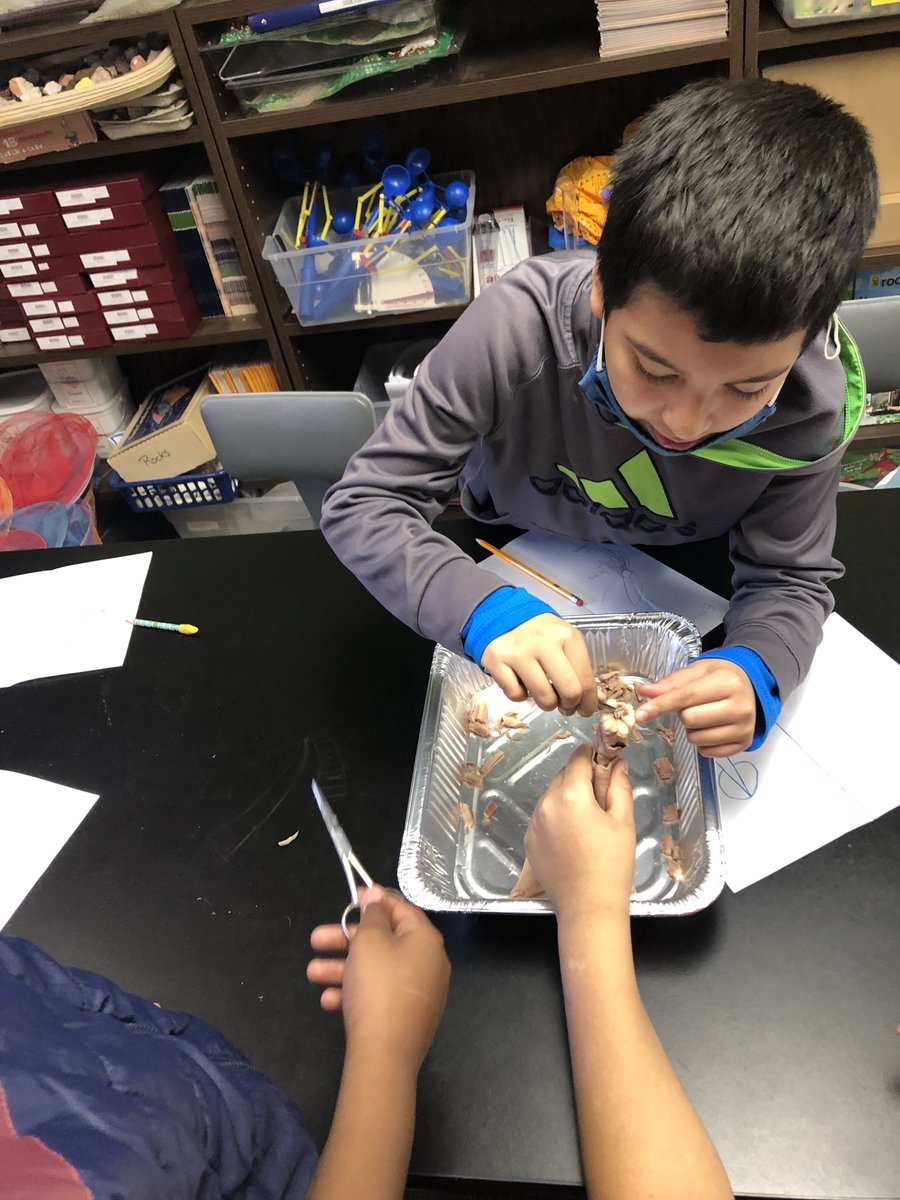 Allyson Neves tweet media