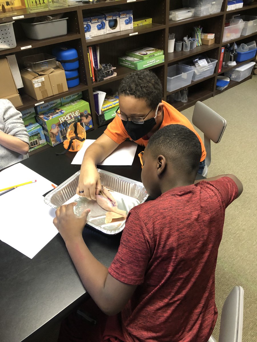 Allyson Neves tweet media