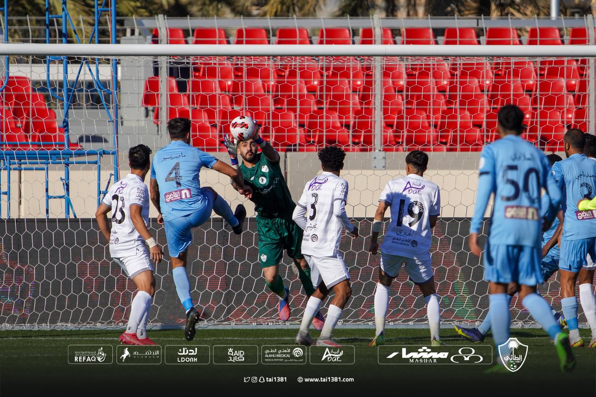 tai1381's tweet photo. 📸الذيب @NAlaqidi ما يخشى رصاص البواريد🤩 https://t.co/r3eOxq6Ibz