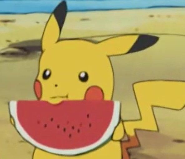 por otra parte, mando Centímetro Louise! on Twitter: "No thoughts except for this picture of Pikachu eating  a watermelon https://t.co/8suo7XVHhZ" / Twitter