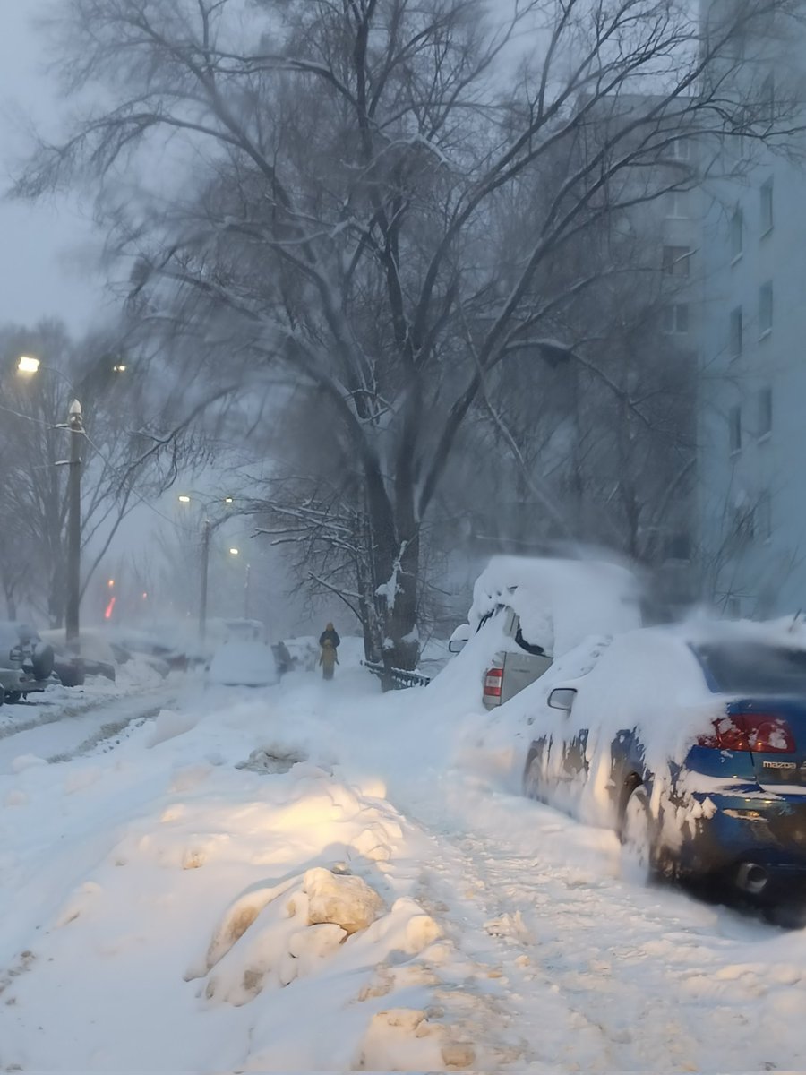 Александр tweet media