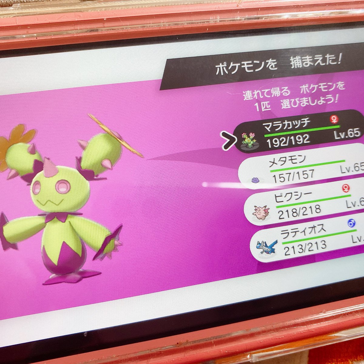 ポケモンgo マラカッチの色違い 入手方法と実装状況 攻略大百科 ポケモンgo マラカッチの色違い 入手方法と実装状況 攻略大百科