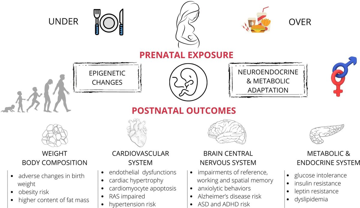Department of Zoology tweet media