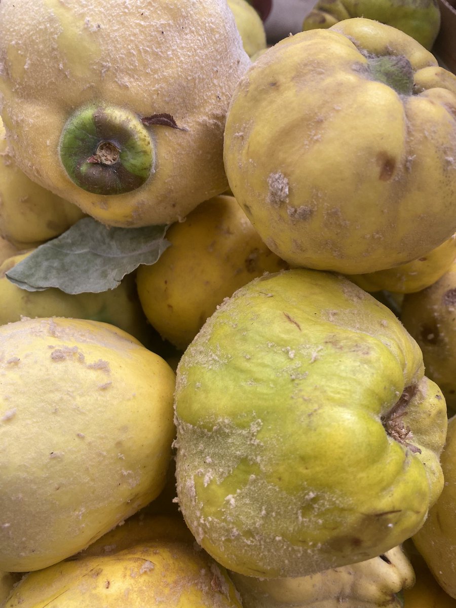 v_rebolledo's tweet image. Membrillo de #Timar