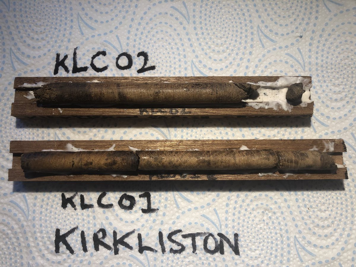 Dendrochronicle's tweet photo. That delicious moment of anticipation. Preparing cores from 2 promising old oak timbers in Kirkliston Parish Church, Edinburgh. Church has 12thC elements though much altered later. Are they early? Are they native? Will soon discover! #SESOD #Dendrochronology #Scotland #SCARF https://t.co/MmjqefRlFs
