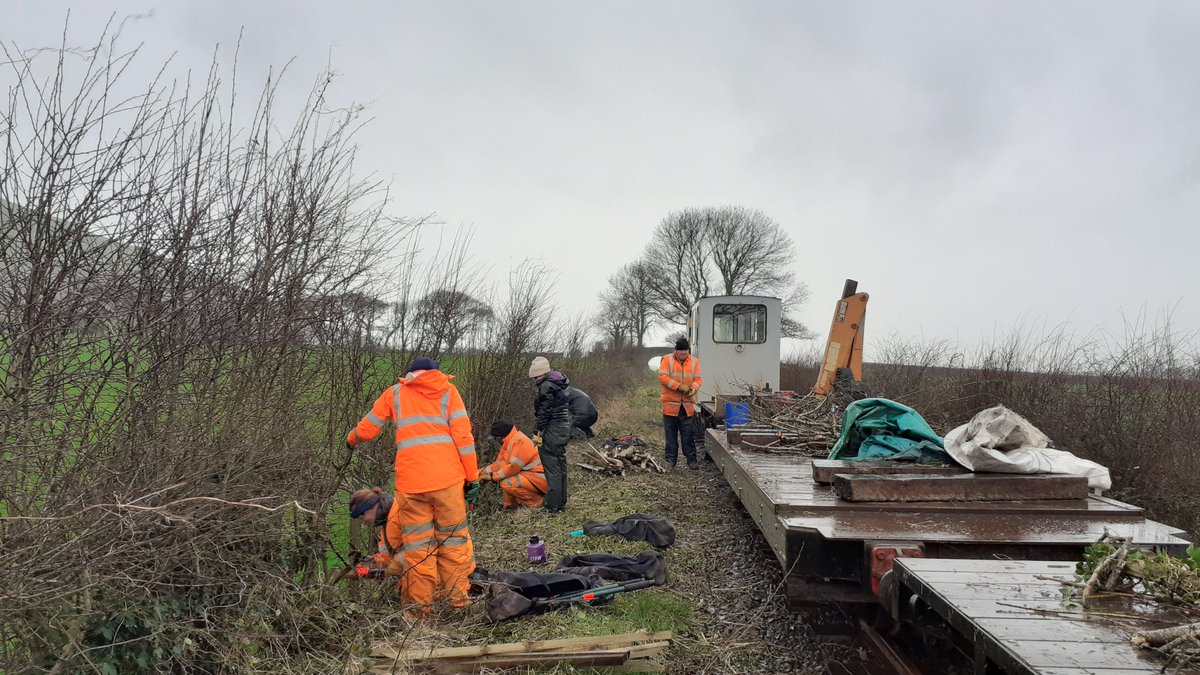 Snowdrops and a daffy and a diesel @TalyllynRailway's #Rhydyronen station today. Nice to be out #hedgelaying even if the weather was grim! #HardcoreHedgelayers #TalyllynVolunteers #HeritageSkills