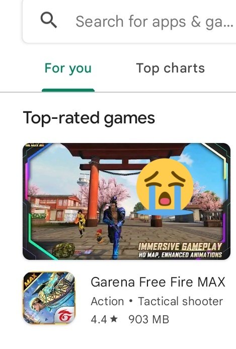 Why Was Free Fire India Removed From the Play Store?