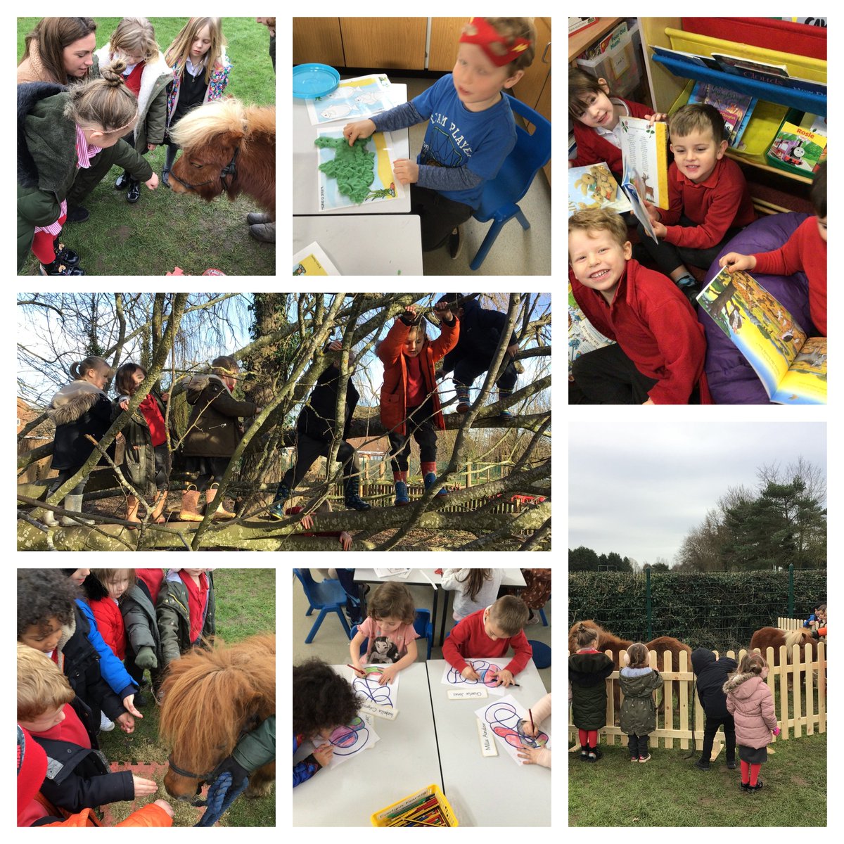 What a week in EYFS! We have developed our growth mindset climbing in the Forest School, had some down time reading our favourite stories, got creative with some art work and playdough and even got to meet some ponies! <a href="/hensforhire/">Claire the Hen Lady</a> <a href="/MissLJBacon/">Miss Bacon</a> #childrensmentalhealthweek2022
