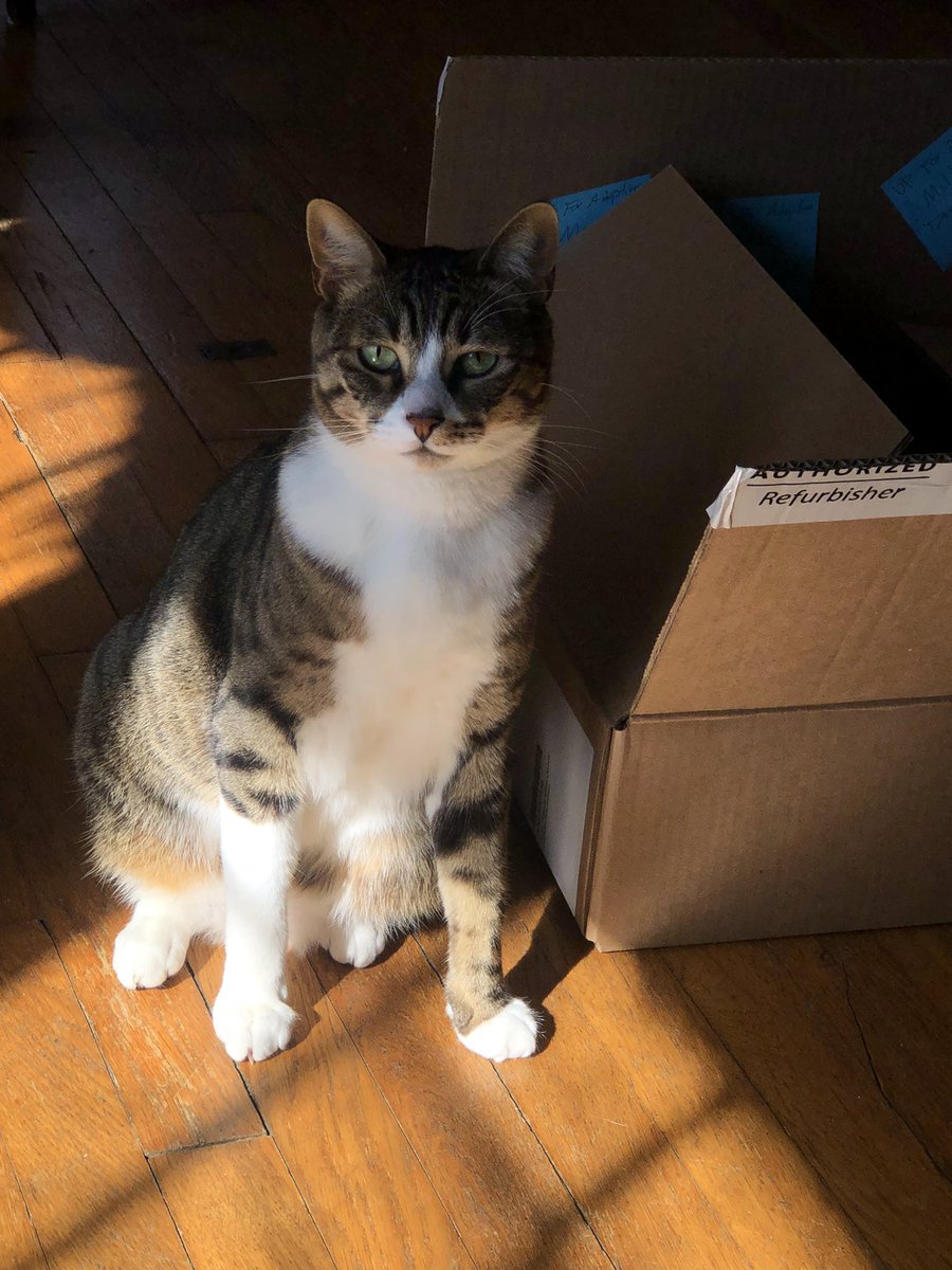 why he look like that