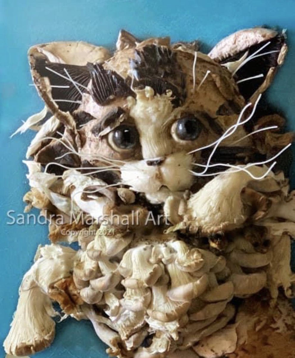 FunkyFoodArt's tweet photo. Here's my food art for the day because it's #Caturday !
Who wants to adopt Ramen?😁 (Mushrooms, noodles, and blueberry eyes) #foodart #art #Cooking #plantbased #artshare #artwork https://t.co/vTcuOIdL6u