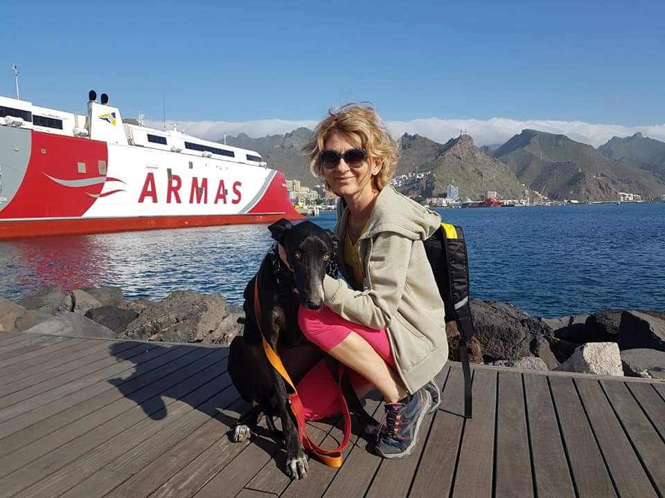 live_paws's tweet photo. Felipe is on the ferry with volunteer Giorgia, enroute to Gran Canatia where he will get a flight to his forever home in Italy!

Our big gorgeous black potency boy, it was an absolute pleasure to know your gentle nature! Have the best life 💛💙🐾 https://t.co/t76UUrmy68
