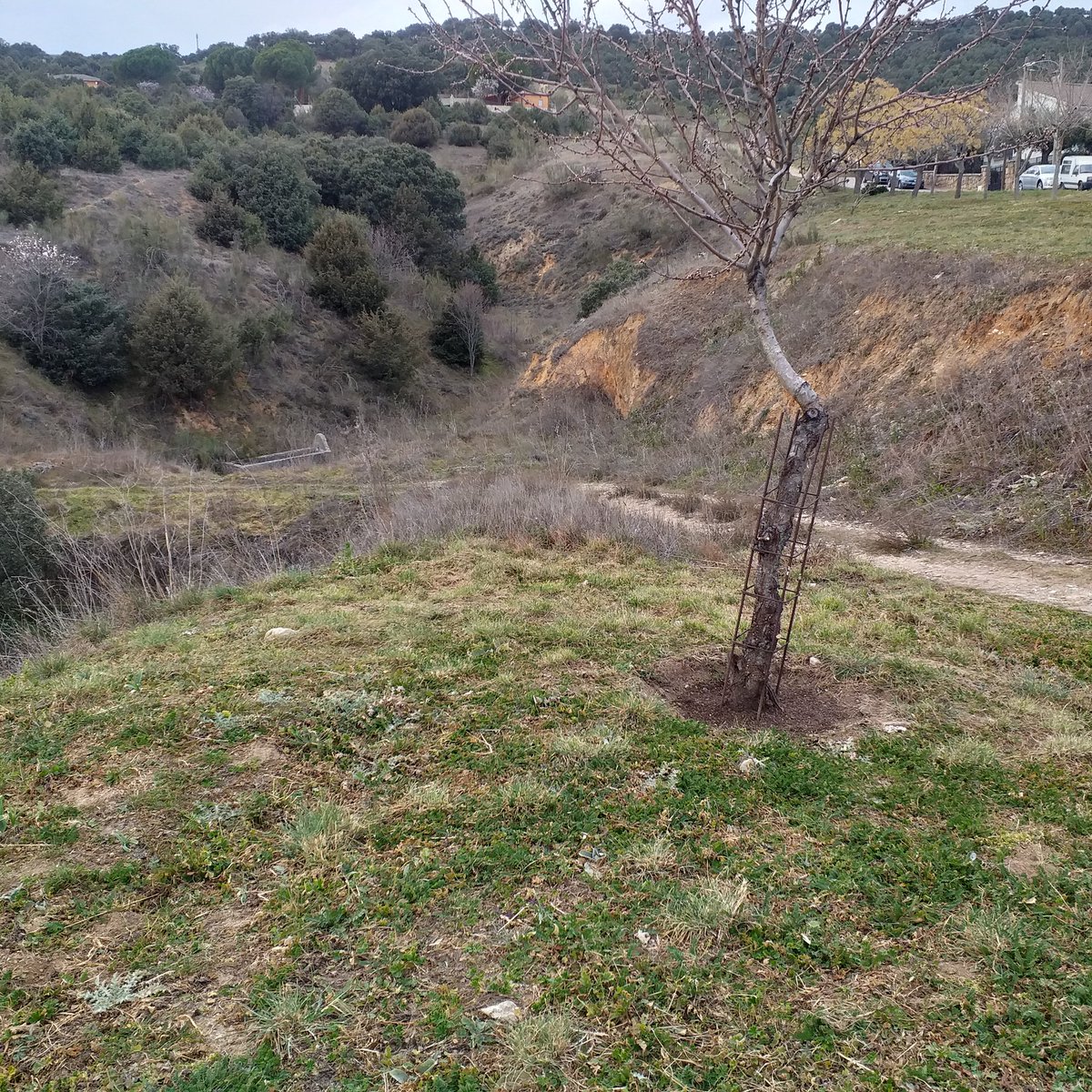 SullyFuentesES's tweet photo. Hay pueblos en Madrid que solo visitándolos apreciamos sus encantos. Redueña en la Sierra Norte es un ejemplo.Un ayuntamiento que apuesta por la superación de sus habitantes y cuidar el patrimonio natural  e histórico y gastronómico de esta tierra. La cigüeña los identifica. https://t.co/eiUDbpGyGx