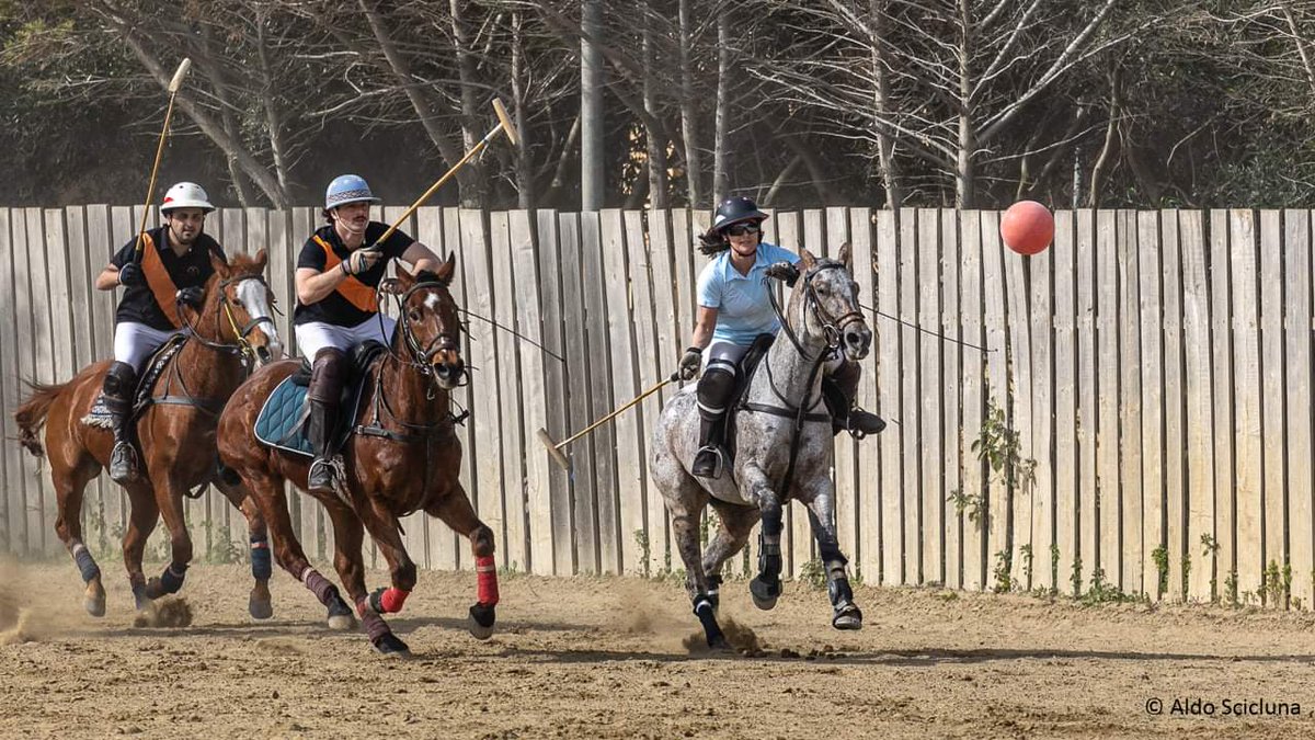 Polo or volley ball?