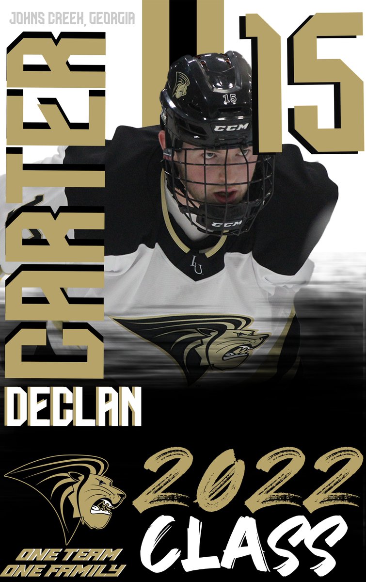 Lindenwood_ACHA's tweet photo. Our 3rd Senior, Declan (@declancarter15 ) is majoring is Communication

GP - 29
G - 17
A - 23
PTS - 40
#OneTeamOneFamily🦁 https://t.co/3EQGw1ZVuL