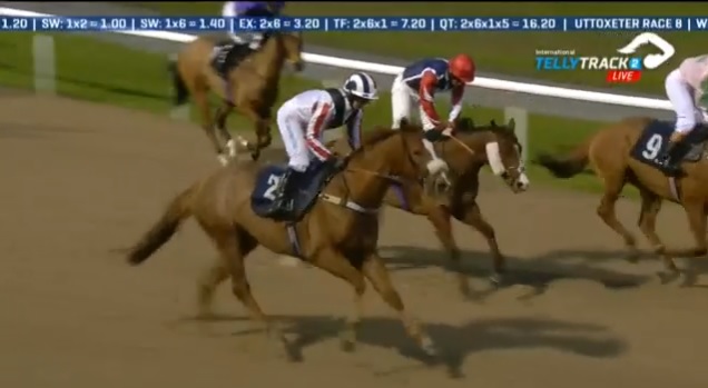 rebelsart's tweet photo. Congratulations to Sarah Bowen @Sarah_bow1 and Voltaic winner of the Amateur Jockeys' Handicap at Wolverhampton @WolvesRaces for Tony Carroll @AWCarrollracing 🏇🥇👊
#winner #dedicated #Wolves #HorseRacing https://t.co/nA4NET70r9