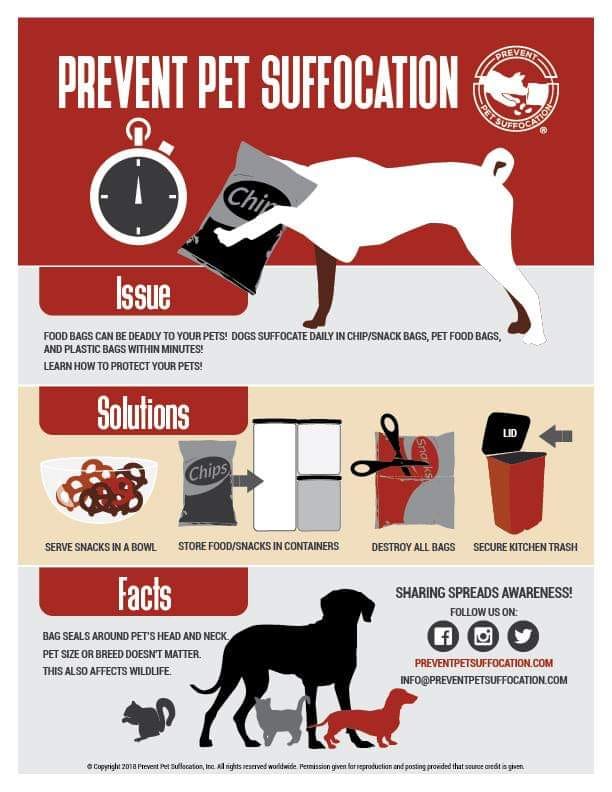PetSafetyCenter's tweet photo. Preparing for the big game? Remember to keep your pets safe from suffocation risk! Follow Prevent Pet Suffocation @4YouBlue2 for more information. #superbowl2022 https://t.co/L3TabBspXM