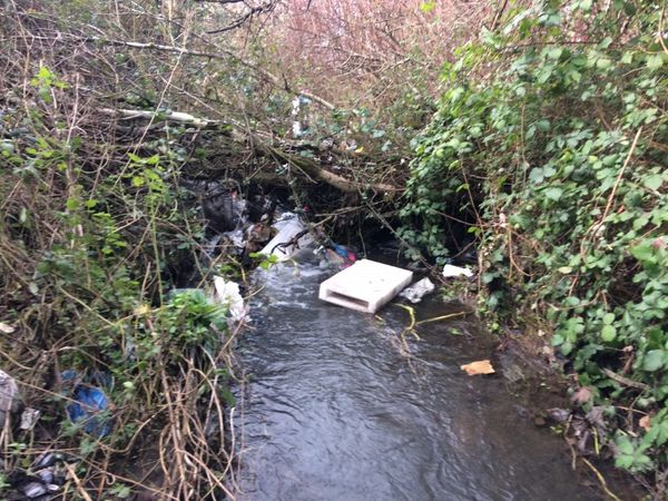 DodderAction's tweet photo. Another tough day today. 13 of us went back to the infamous Bottle Swamp, and it wasn't a pretty sight. We were last there three years ago, and by the time we were finished (it took three visits) the stream and its banks were looking healthy again. For now.... 1/2 https://t.co/TU9xpSayva